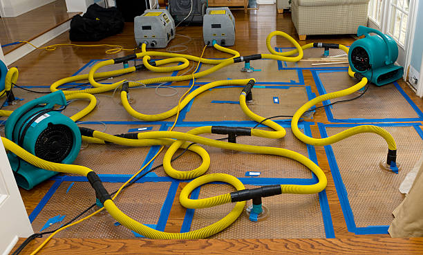 Professional Storm Water Damage Restoration technician working in Mount Kisco, NY